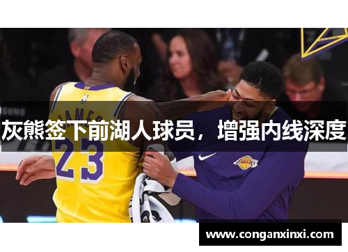 灰熊签下前湖人球员，增强内线深度